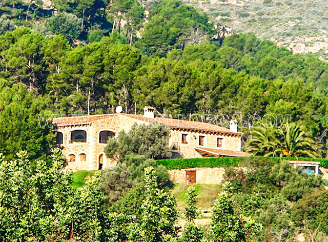 villa_finca_land_haus_residence_mallorca_puerto_de_andratx_pool_16.jpg