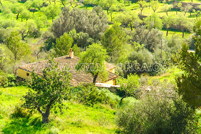 villa_finca_land_haus_residence_mallorca_puerto_de_andratx_pool_29.jpg