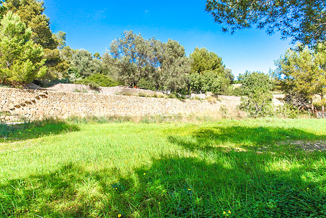 villa_finca_land_haus_residence_mallorca_puerto_de_andratx_pool_31.jpg