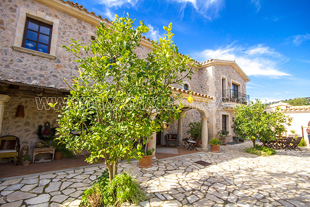 mallorca_villa_puerto_de_andratx_montport_first_location_real_estate_max_mallorca_makler_private_residence_022.jpg