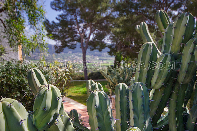 mallorca_villa_port_puerto_andratx_montport_real_estate_max_mallorca_15.jpg