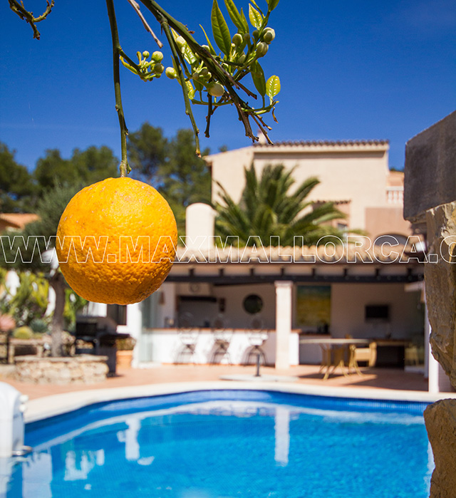 mallorca_villa_port_puerto_andratx_montport_real_estate_max_mallorca_37.jpg