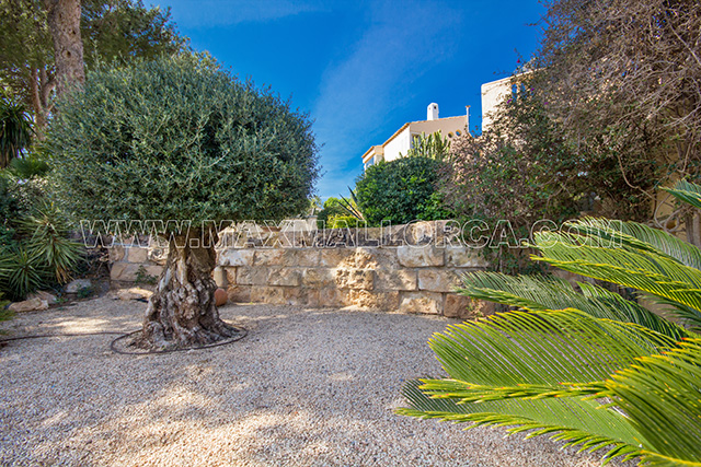 mallorca_villa_port_puerto_andratx_montport_real_estate_max_mallorca_52.jpg