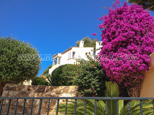 mallorca_villa_port_puerto_andratx_montport_real_estate_max_mallorca_53.jpg