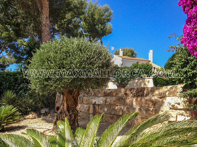 mallorca_villa_port_puerto_andratx_montport_real_estate_max_mallorca_54.jpg