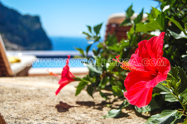 villa_mallorca_puerto_de_andratx_port_gran_reserva_finca_sea_view_pool_meer_blick_max_mallorca_real_estate_14.jpg