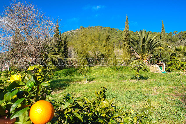 finca_mallorca_villa_puerto_andratx_land_garten_haus_pool_mandel_orangen_baum_19.jpg