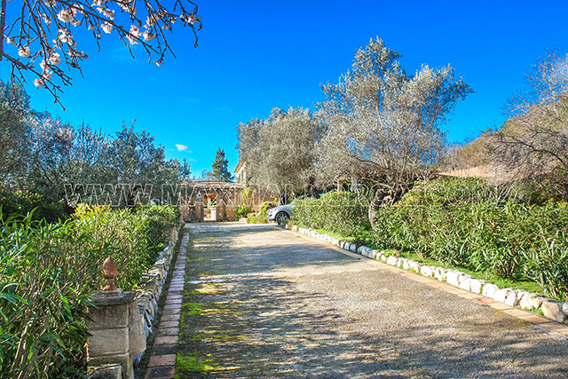 finca_mallorca_villa_puerto_andratx_land_garten_haus_pool_mandel_orangen_baum_25a.jpg