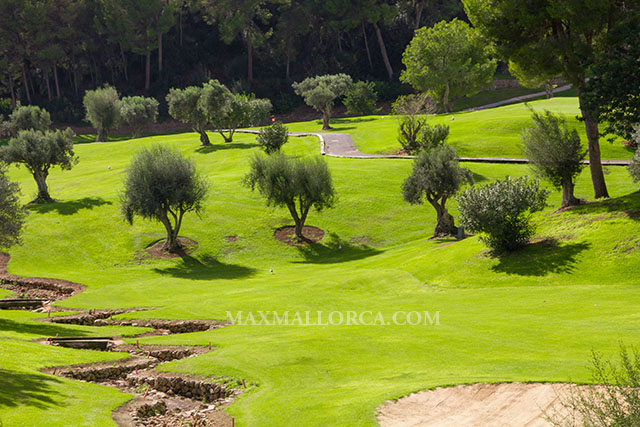 villa_bendinat_house_haus_big_real_estate_max_mallorca_golf_for_sale_33.jpg