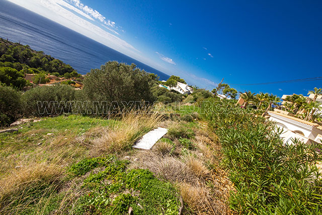 a_a_a_baugrundstueck_auf_mallorca_zu_verkaufen_top_lage_180_panorama_suedlage_3.jpg