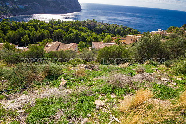 a_a_a_baugrundstueck_auf_mallorca_zu_verkaufen_top_lage_180_panorama_suedlage_4.jpg