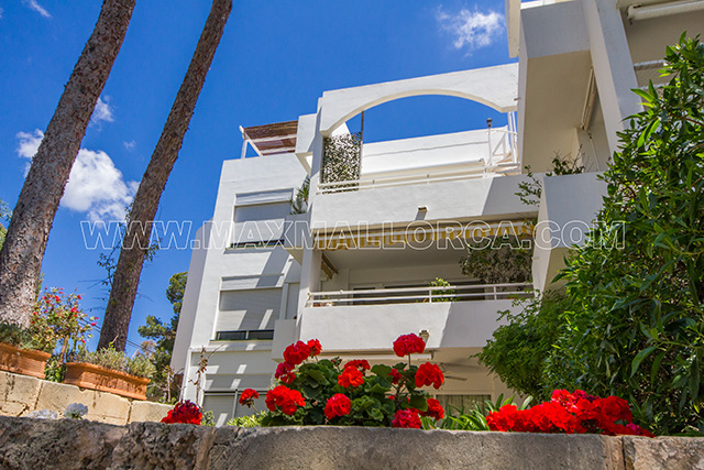 apartment_mallorca_puerto_de_andratx_sea_montport_view_sea_sun_pool_18.jpg