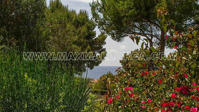 villa_mallorca_nova_santa_ponsa_real_estate_immobilie_max_mallorca_17.jpg